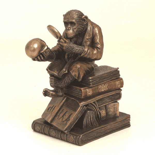 Figurine humouristique représentant l'évolution du singe