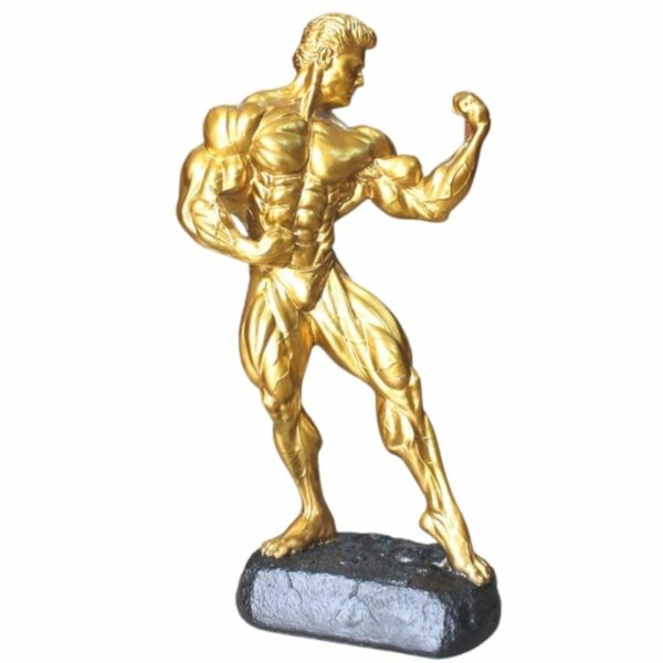 Statue Homme Musculation