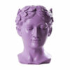 Statue Tête Grecque Violette